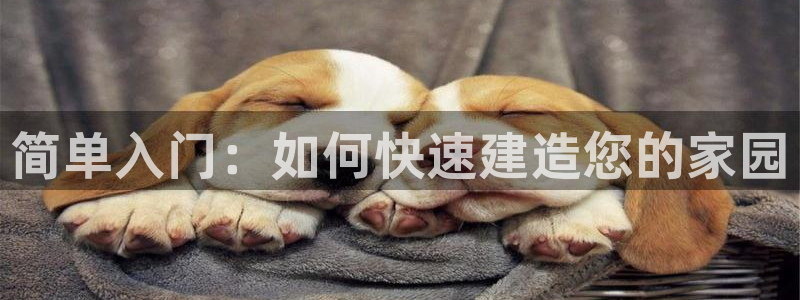 意昂集团官网