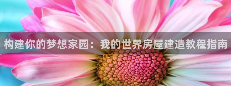 意昂3代理：构建你的梦想家园：我的世界房屋建造教程指南
