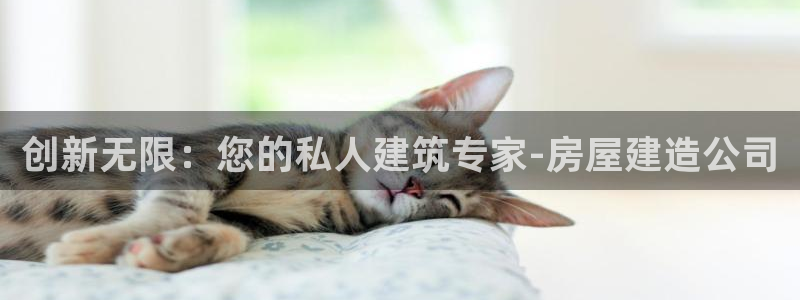 意昂3娱乐网站：创新无限：您的私人建筑专家-房屋建造公司