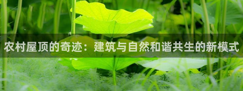 意昂体育3平台注册要钱吗：农村屋顶的奇迹：建筑与自然和谐共生的新模式