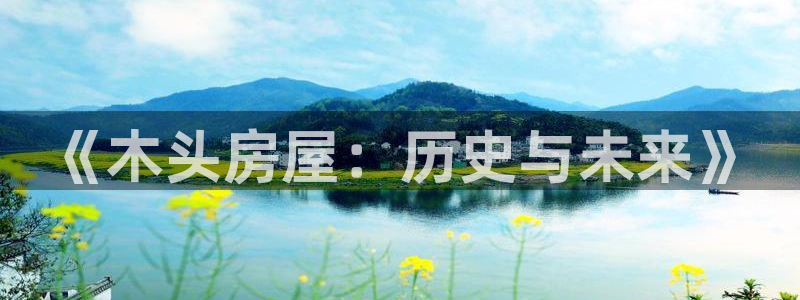 意昂平台体育：《木头房屋：历史与未来》