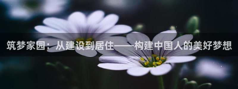 意昂体育3招商电话地址查询：筑梦家园：从建设到居住——构建中国人的美好梦想