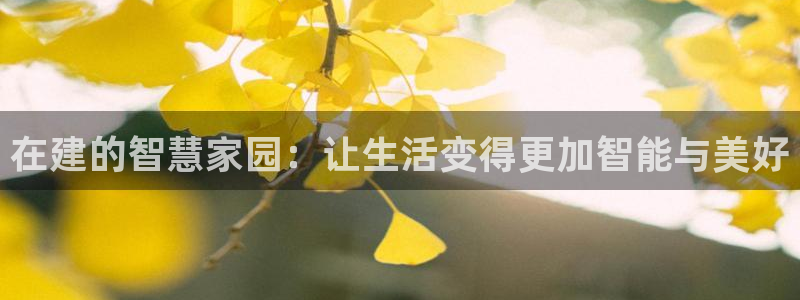意昂3娱乐：在建的智慧家园：让生活变得更加智能与美好
