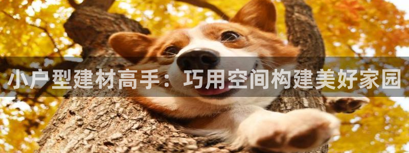 意昂体育3平台假的吗是真的吗：小户型建材高手：巧用空间构建美好家园