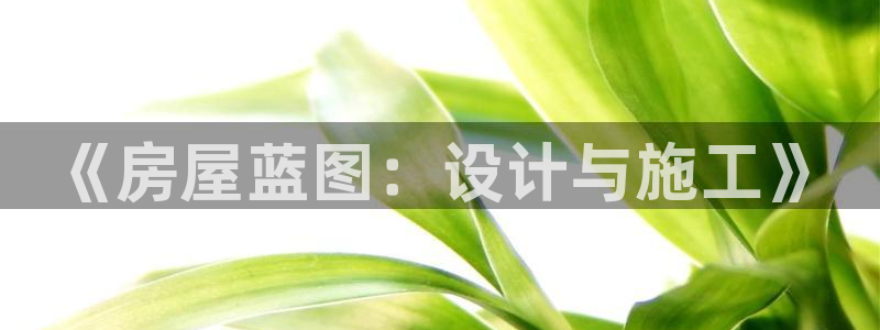 德国意昂3集团：《房屋蓝图：设计与施工》