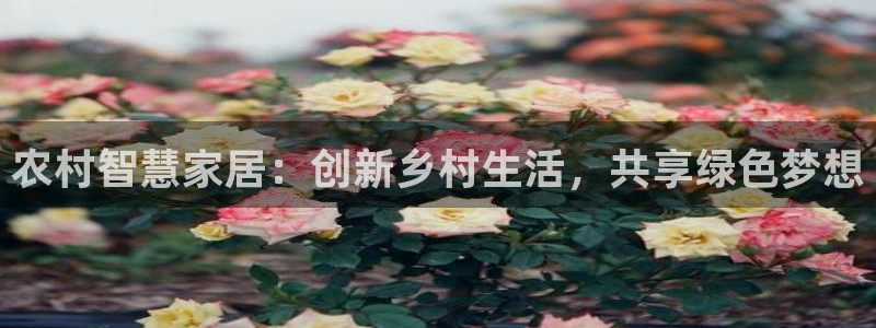意昂3娱乐平台：农村智慧家居：创新乡村生活，共享绿色梦想