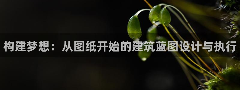海南意昂体育3发展怎么样：构建梦想：从图纸开始的建筑蓝图设计与执行