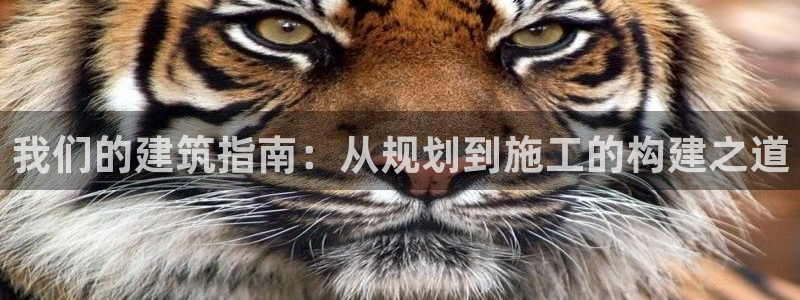 意昂3官方：我们的建筑指南：从规划到施工的构建之道
