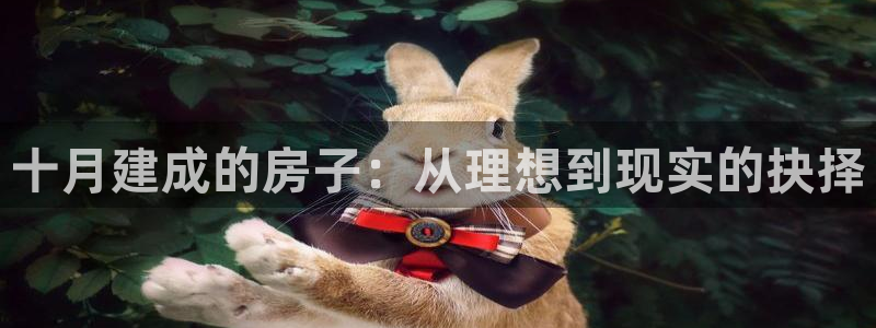 意昂体育3平台注册要钱吗安全吗：十月建成的房子：从理想到现实的抉择