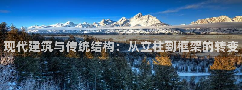 意昂3娱乐首页网站大全：现代建筑与传统结构：从立柱到框架的转变