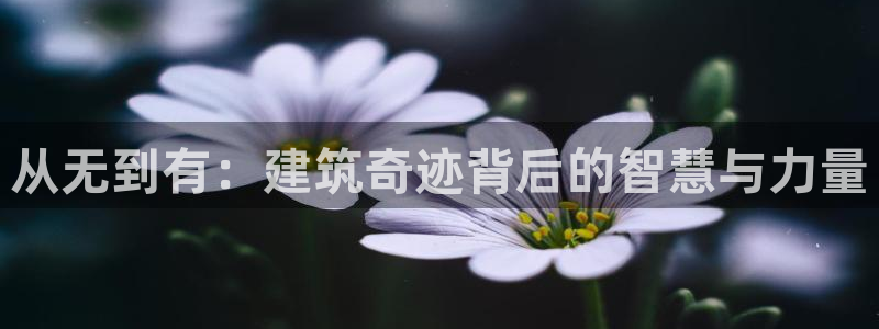 意昂体育3平台是正规平台吗安全吗：从无到有：建筑奇迹背后的智慧与力量