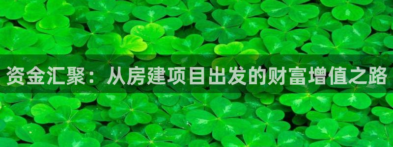 意昂体育3平台注册要钱吗安全吗：资金汇聚：从房建项目出发的财富增值之路