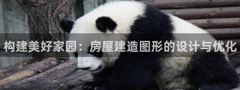 意昂体育3平台注册流程图：构建美好家园：房屋建造图形的设计与优化