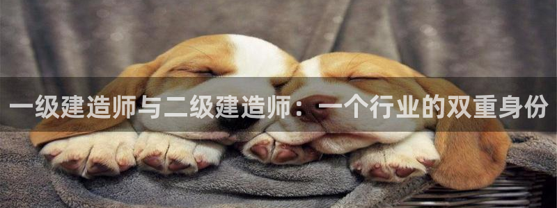 意昂3集团logo：一级建造师与二级建造师：一个行业的双重身份