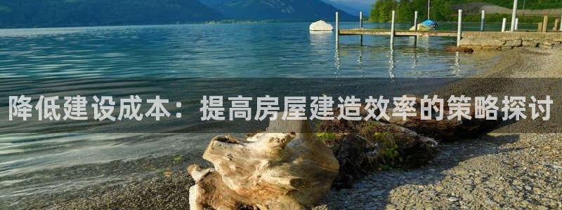 意昂3集团E.ON：降低建设成本：提高房屋建造效率的策略探讨
