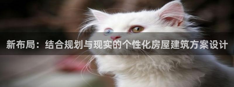 意昂体育3软件：新布局：结合规划与现实的个性化房屋建筑方案设计