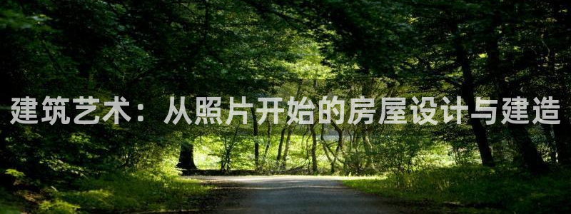 意昂3官网：建筑艺术：从照片开始的房屋设计与建造