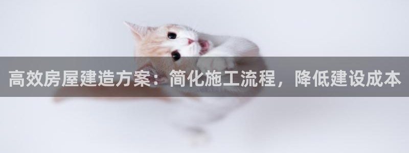 意昂3娱乐平台：高效房屋建造方案：简化施工流程，降低建设成本