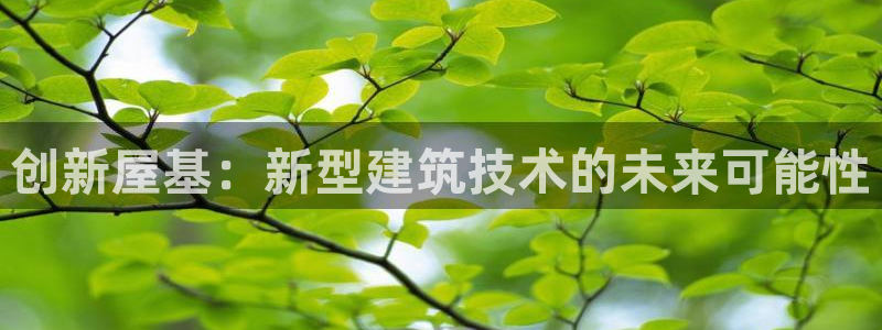 意昂体育3平台APP：创新屋基：新型建筑技术的未来可能性