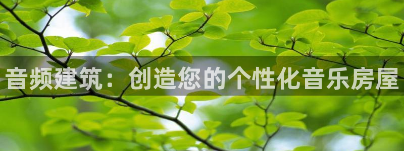意昂体育3平台是正规平台吗安全吗：音频建筑：创造您的个性化音乐房屋