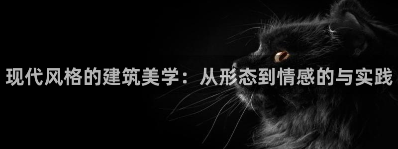意昂3神州：现代风格的建筑美学：从形态到情感的与实践