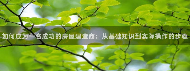 意昂体育3招商电话是多少号码：如何成为一名成功的房屋建造商：从基础知识到实际操作的步骤