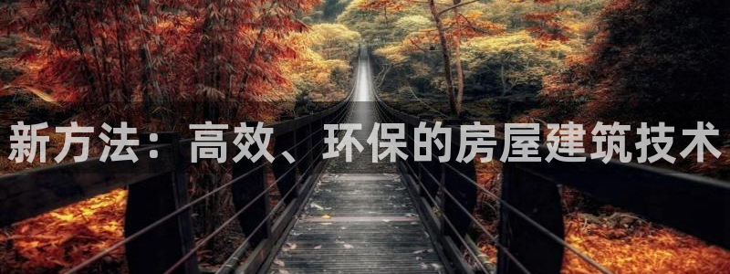 意昂体育3招商电话是多少：新方法：高效、环保的房屋建筑技术