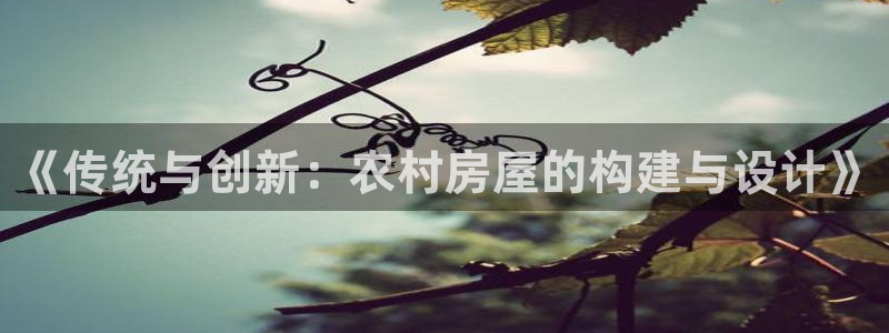 意昂3科技：《传统与创新：农村房屋的构建与设计》