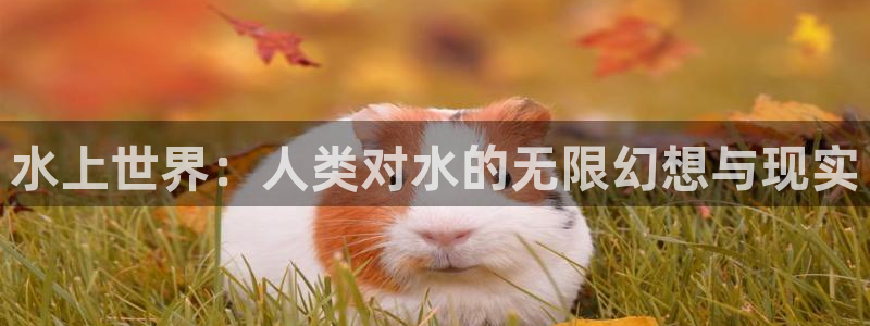 意昂体育3招商电话地址是多少：水上世界：人类对水的无限幻想与现实