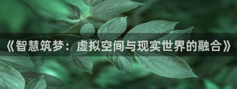 意昂3娱乐首页网站大全：《智慧筑梦：虚拟空间与现实世界的融合》