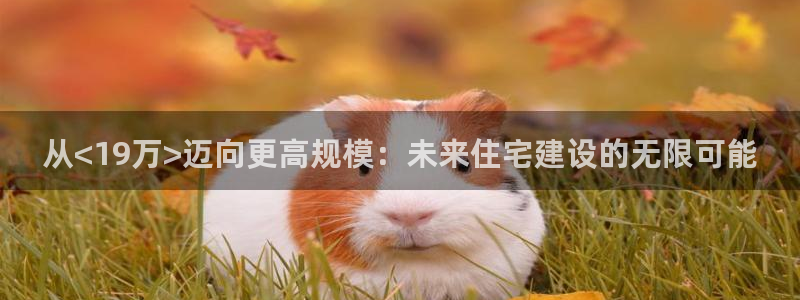 意昂3新能源：从<19万>迈向更高规模：未来住宅建设的无限可能