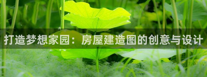 意昂体育3招商电话地址：打造梦想家园：房屋建造图的创意与设计