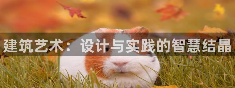 意昂3娱乐40996：建筑艺术：设计与实践的智慧结晶