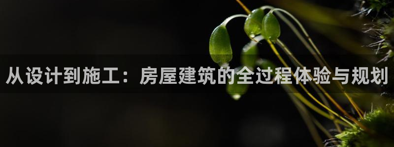 德国意昂3集团：从设计到施工：房屋建筑的全过程体验与规划