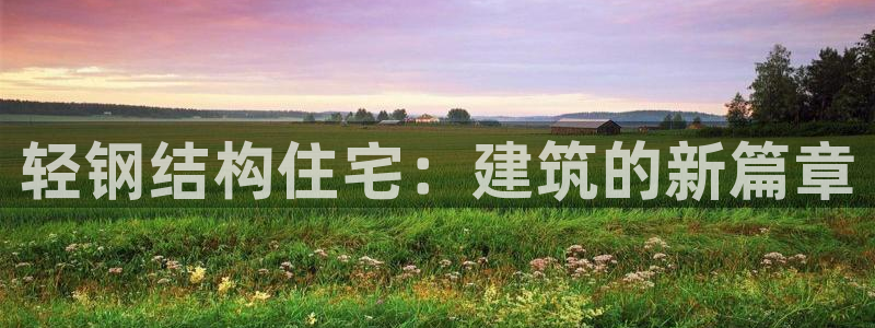 意昂体育3娱乐：轻钢结构住宅：建筑的新篇章