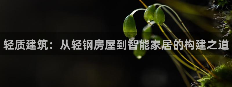 意昂体育3招商电话是多少啊：轻质建筑：从轻钢房屋到智能家居的构建之道
