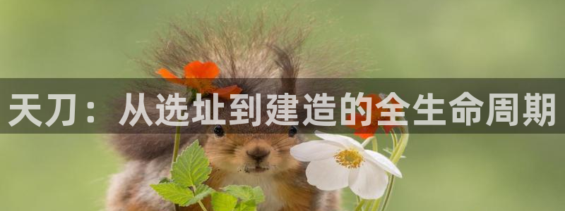 意昂体育3平台：天刀：从选址到建造的全生命周期