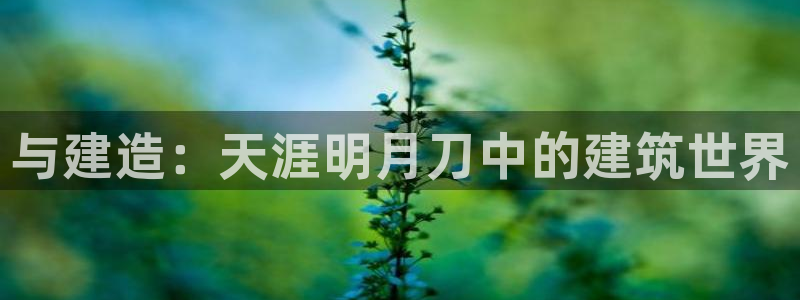 意昂3娱乐40996：与建造：天涯明月刀中的建筑世界