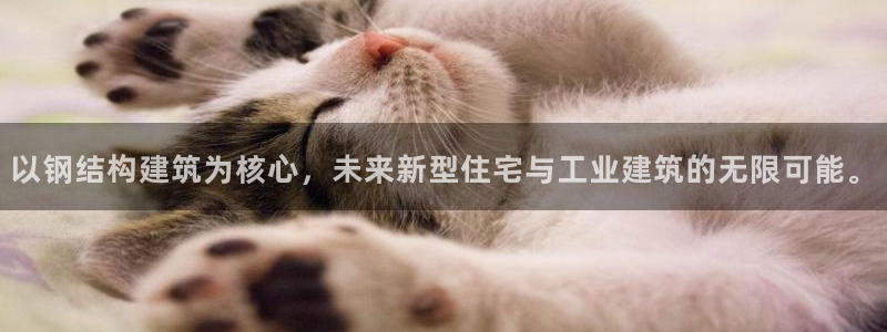 意昂体育3招商电话号码查询：以钢结构建筑为核心，未来新型住宅与工业建筑的无限可能。