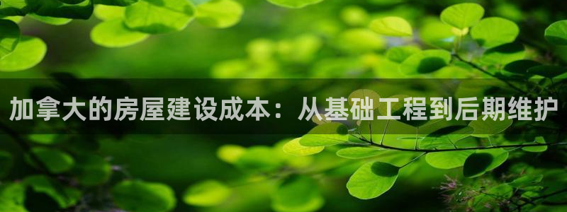 意昂3官方：加拿大的房屋建设成本：从基础工程到后期维护