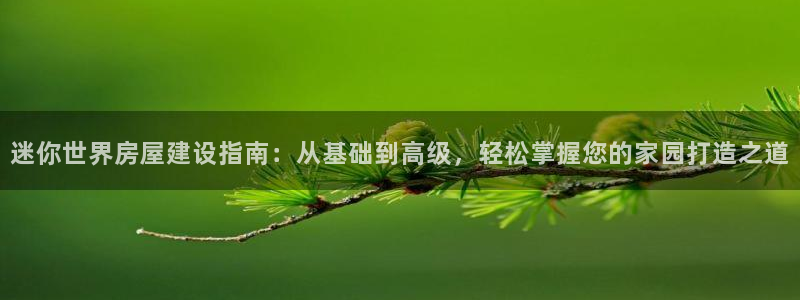 意昂体育3平台是正规平台吗安全吗：迷你世界房屋建设指南：从基础到高级，轻松掌握您的家园打造之道