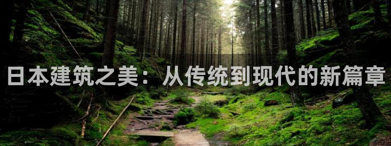 意昂体育3平台注册：日本建筑之美：从传统到现代的新篇章