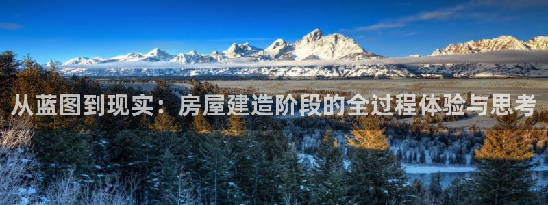 意昂3集团E.ON：从蓝图到现实：房屋建造阶段的全过程体验与思考