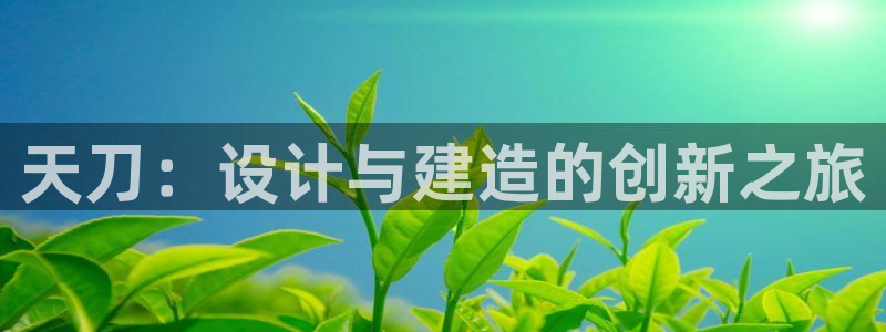 意昂体育3招商电话：天刀：设计与建造的创新之旅