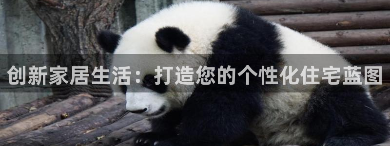 意昂3娱乐网站：创新家居生活：打造您的个性化住宅蓝图