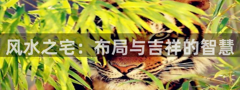 意昂体育3招商电话是多少啊：风水之宅：布局与吉祥的智慧