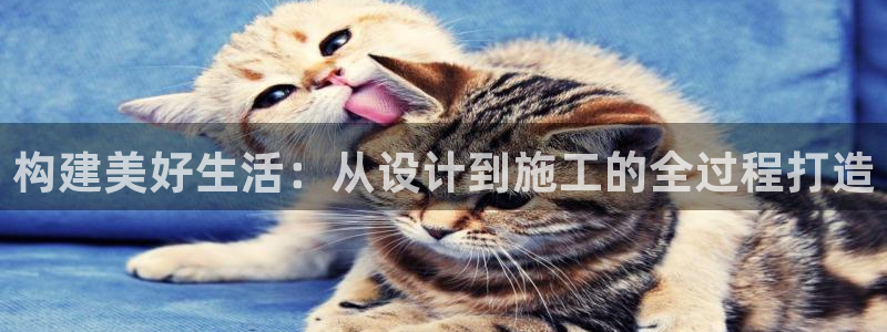 意昂体育3注册：构建美好生活：从设计到施工的全过程打造