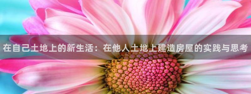 意昂体育3平台假的吗是真的吗：在自己土地上的新生活：在他人土地上建造房屋的实践与思考