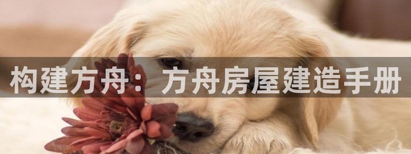 意昂3娱乐首页网站大全：构建方舟：方舟房屋建造手册