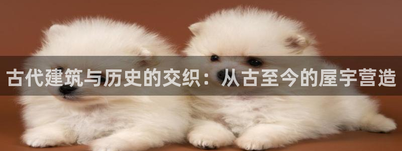 意昂3娱乐40996：古代建筑与历史的交织：从古至今的屋宇营造